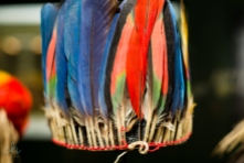 colourful feather crown