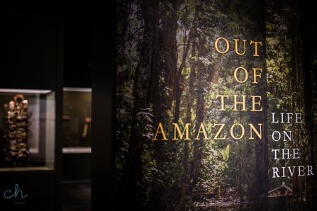 out of the amazon entrance to museum exhibit